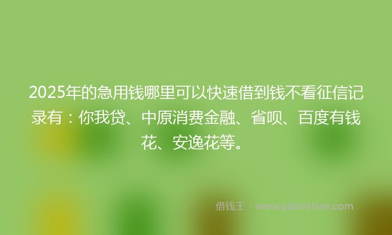 2025年的急用钱哪里可以快速借到钱不看征信记录有：你我贷、中原消费金融、省呗、百度有钱花、安逸花等。