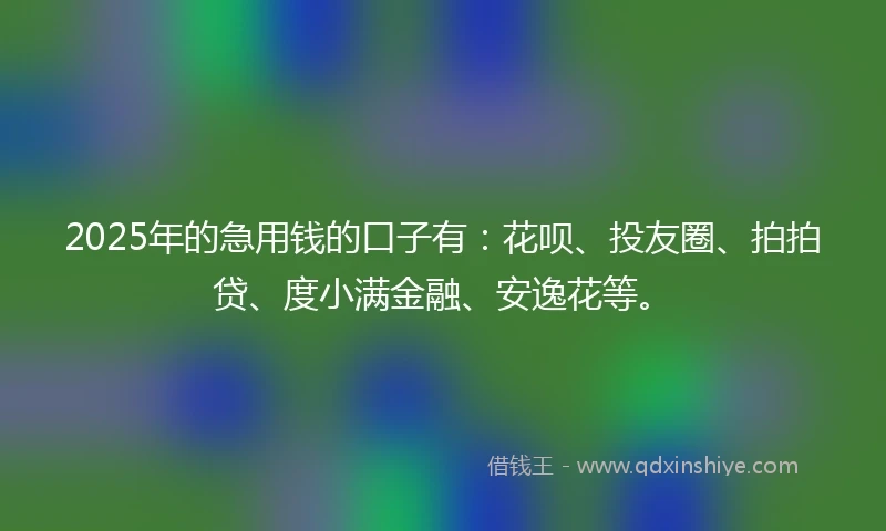 2025年的急用钱的口子有：花呗、投友圈、拍拍贷、度小满金融、安逸花等。