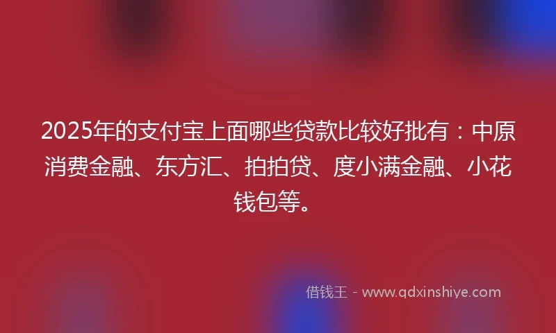 2025年的支付宝上面哪些贷款比较好批有：中原消费金融、东方汇、拍拍贷、度小满金融、小花钱包等。