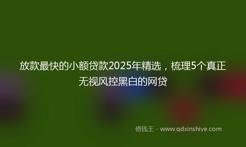 放款最快的小额贷款2025年精选,梳理5个真正无视风控黑白的网贷