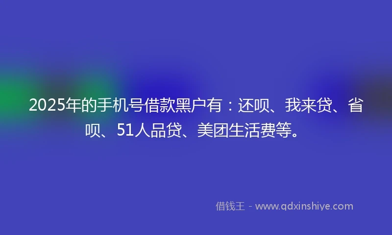 2025年的手机号借款黑户有：还呗、我来贷、省呗、51人品贷、美团生活费等。