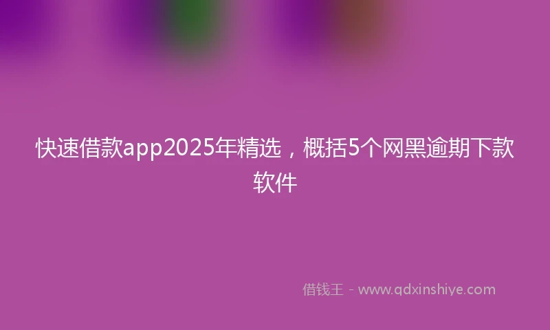 快速借款app2025年精选，概括5个网黑逾期下款软件