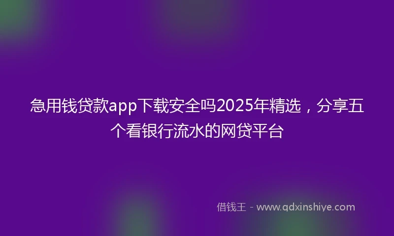 急用钱贷款app下载安全吗2025年精选，分享五个看银行流水的网贷平台