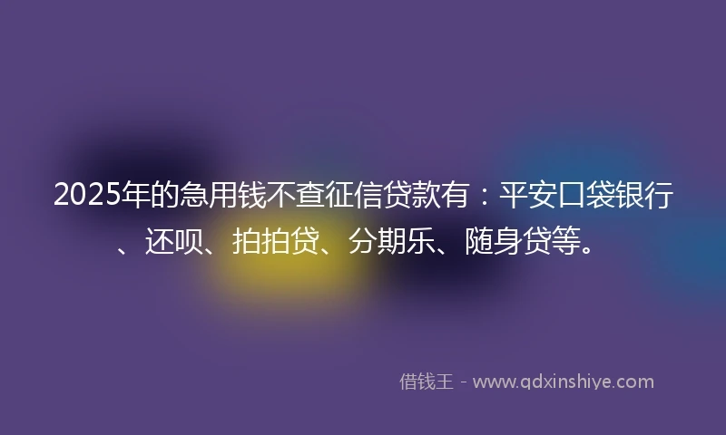 2025年的急用钱不查征信贷款有：平安口袋银行、还呗、拍拍贷、分期乐、随身贷等。