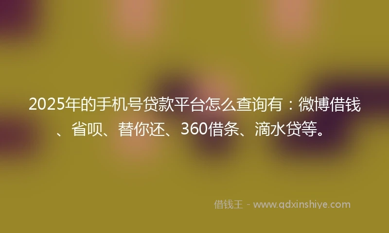2025年的手机号贷款平台怎么查询有：微博借钱、省呗、替你还、360借条、滴水贷等。