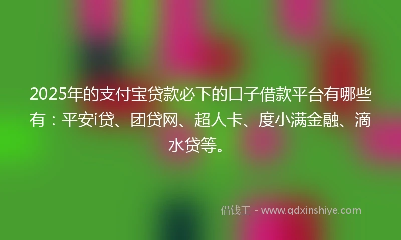 2025年的支付宝贷款必下的口子借款平台有哪些有：平安i贷、团贷网、超人卡、度小满金融、滴水贷等。