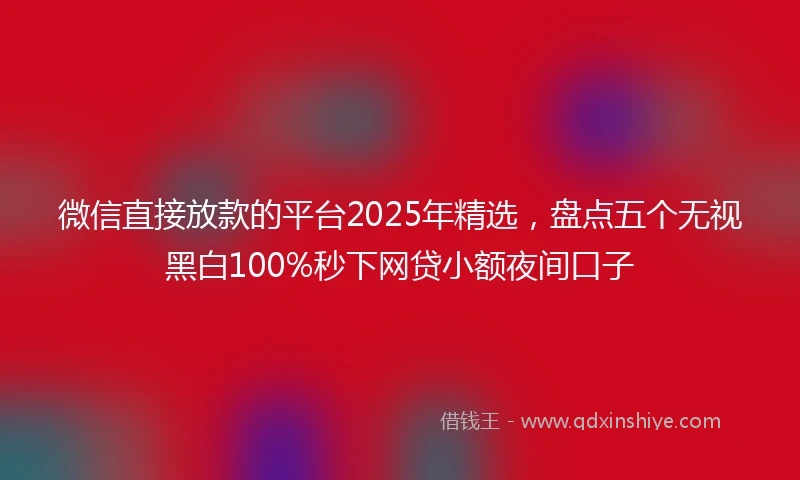 微信直接放款的平台2025年精选，盘点五个无视黑白100%秒下网贷小额夜间口子