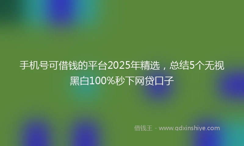 手机号可借钱的平台2025年精选，总结5个无视黑白100%秒下网贷口子