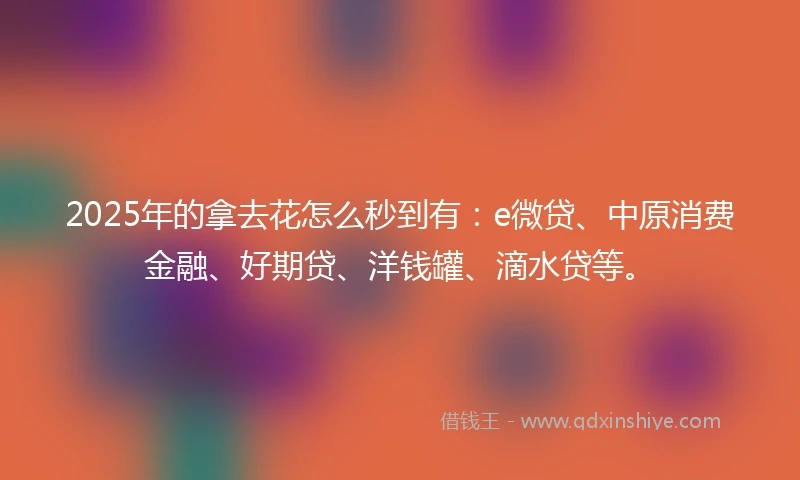 2025年的拿去花怎么秒到有：e微贷、中原消费金融、好期贷、洋钱罐、滴水贷等。