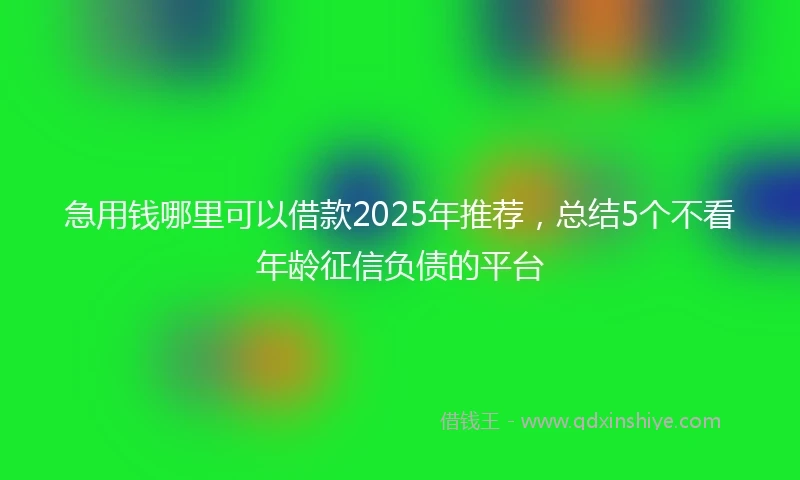急用钱哪里可以借款2025年推荐，总结5个不看年龄征信负债的平台