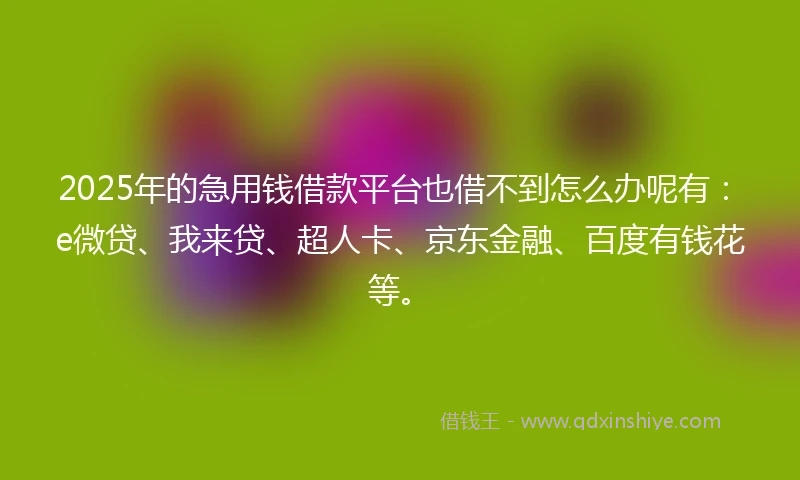 2025年的急用钱借款平台也借不到怎么办呢有：e微贷、我来贷、超人卡、京东金融、百度有钱花等。