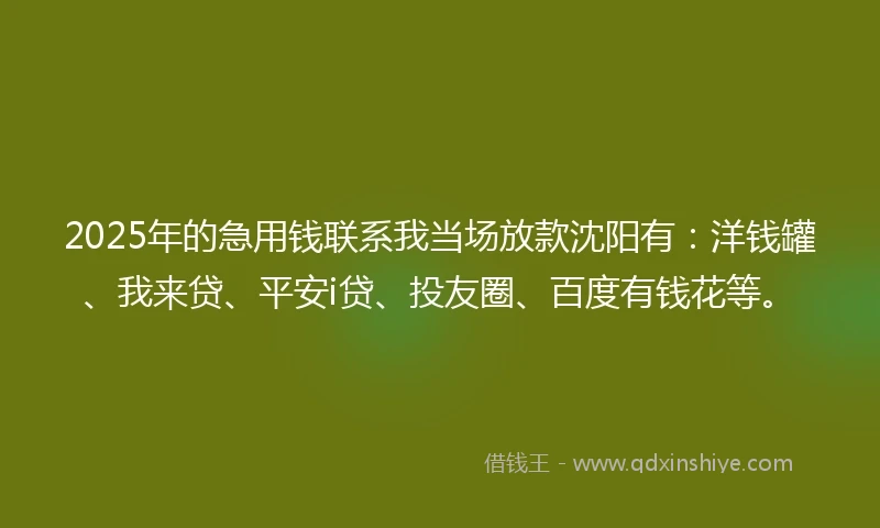 2025年的急用钱联系我当场放款沈阳有：洋钱罐、我来贷、平安i贷、投友圈、百度有钱花等。