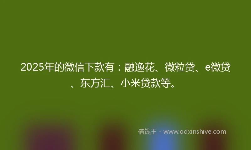 2025年的微信下款有：融逸花、微粒贷、e微贷、东方汇、小米贷款等。