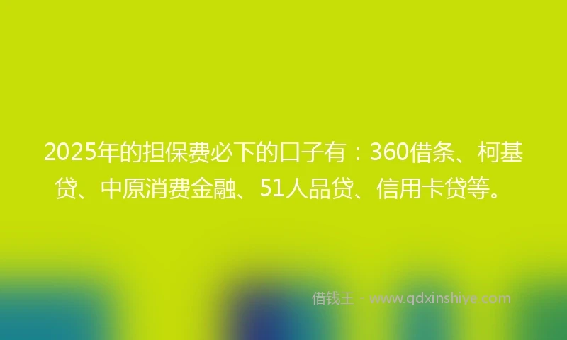 2025年的担保费必下的口子有：360借条、柯基贷、中原消费金融、51人品贷、信用卡贷等。