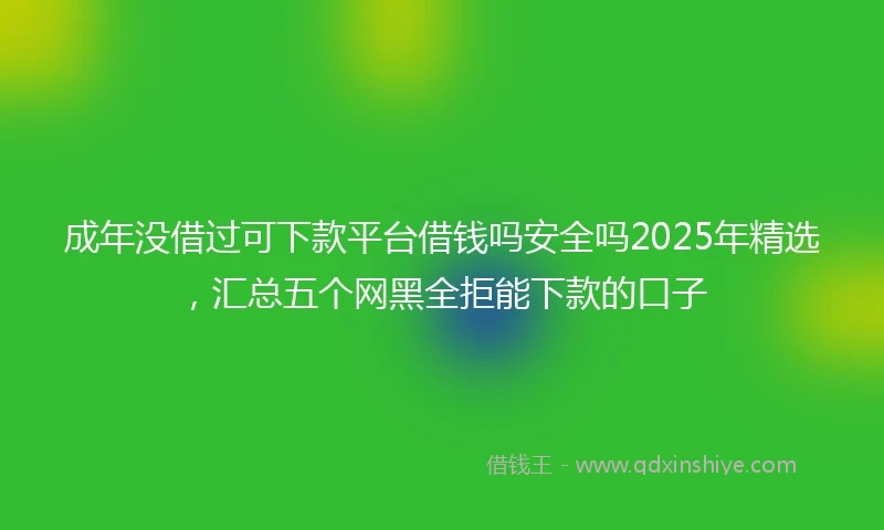 成年没借过可下款平台借钱吗安全吗2025年精选，汇总五个网黑全拒能下款的口子