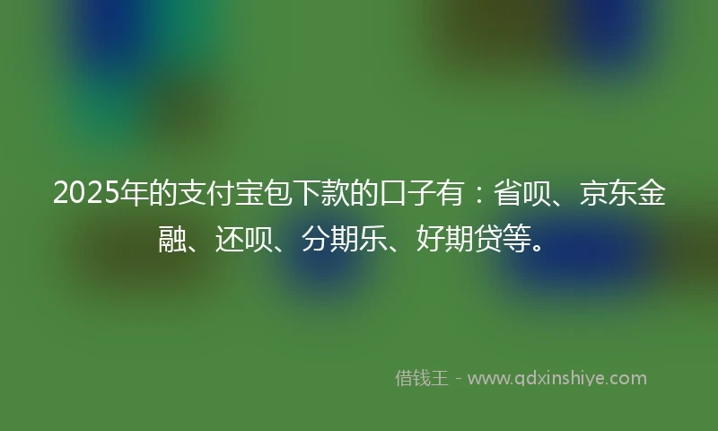2025年的支付宝包下款的口子有：省呗、京东金融、还呗、分期乐、好期贷等。