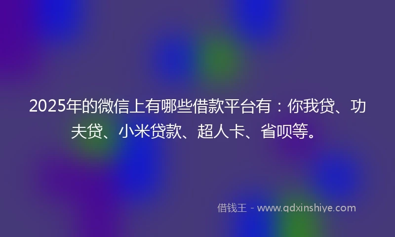 2025年的微信上有哪些借款平台有：你我贷、功夫贷、小米贷款、超人卡、省呗等。