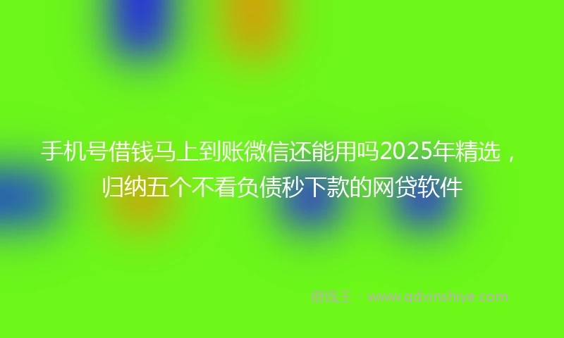 手机号借钱马上到账微信还能用吗2025年精选，归纳五个不看负债秒下款的网贷软件