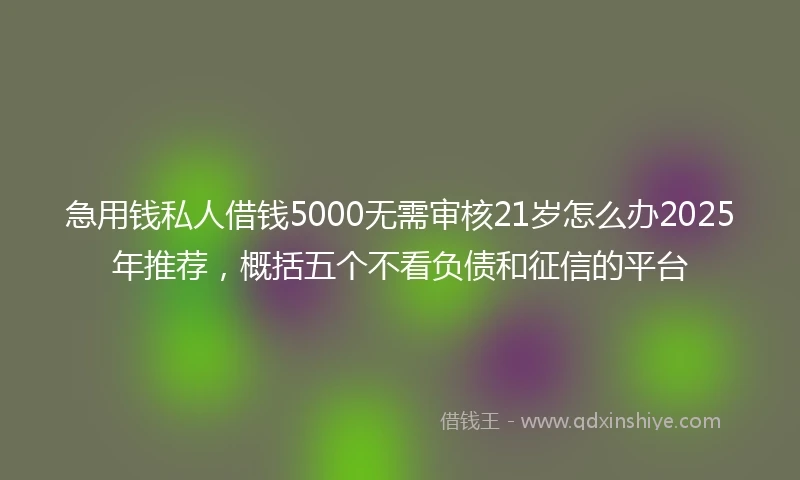 急用钱私人借钱5000无需审核21岁怎么办2025年推荐，概括五个不看负债和征信的平台