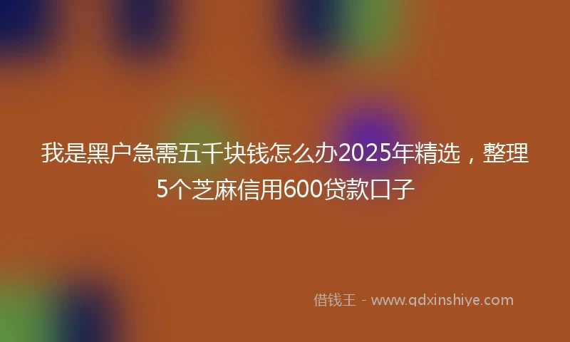 我是黑户急需五千块钱怎么办2025年精选，整理5个芝麻信用600贷款口子