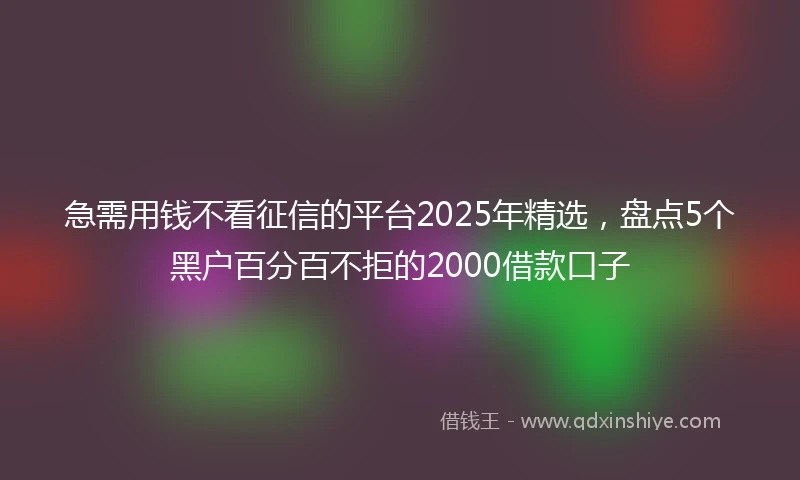 急需用钱不看征信的平台2025年精选，盘点5个黑户百分百不拒的2000借款口子