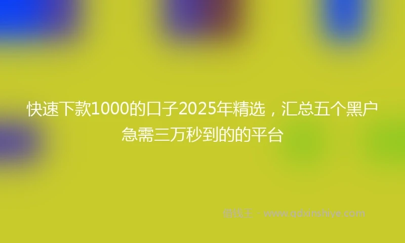 快速下款1000的口子2025年精选，汇总五个黑户急需三万秒到的的平台