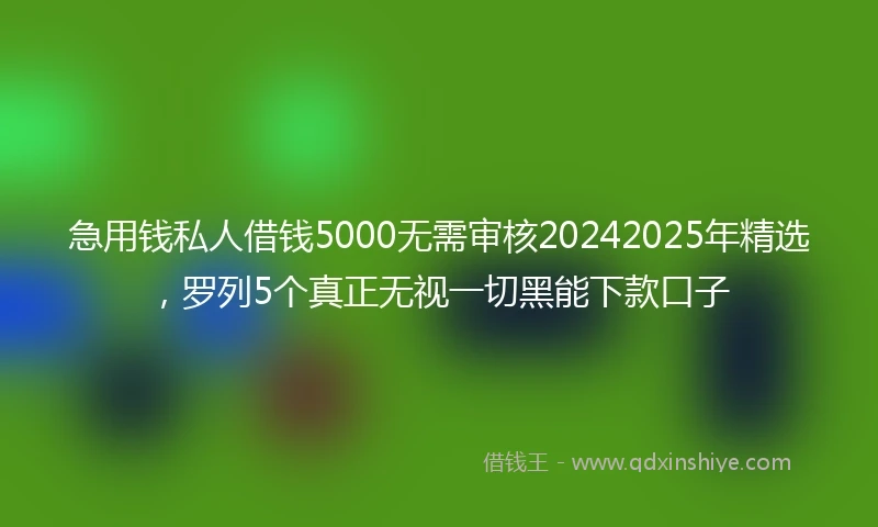 急用钱私人借钱5000无需审核20242025年精选，罗列5个真正无视一切黑能下款口子