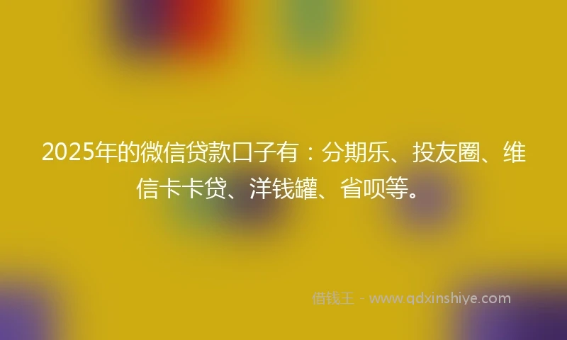 2025年的微信贷款口子有：分期乐、投友圈、维信卡卡贷、洋钱罐、省呗等。