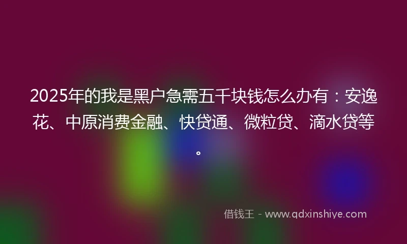 2025年的我是黑户急需五千块钱怎么办有：安逸花、中原消费金融、快贷通、微粒贷、滴水贷等。