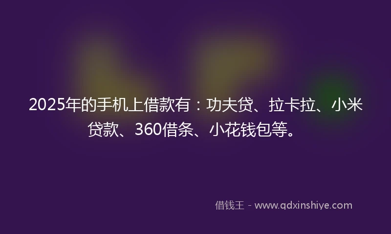2025年的手机上借款有：功夫贷、拉卡拉、小米贷款、360借条、小花钱包等。