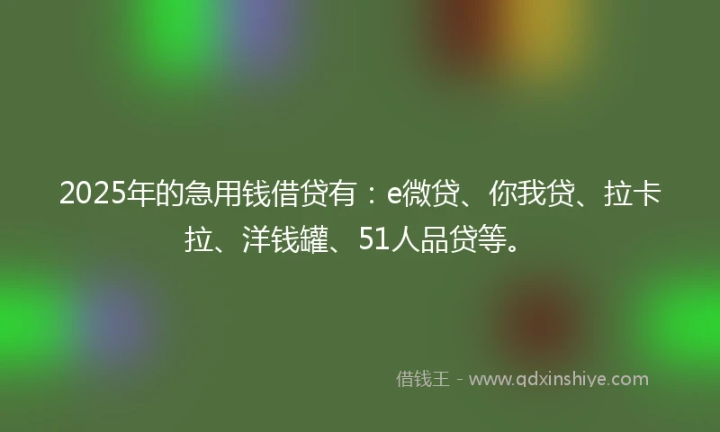 2025年的急用钱借贷有：e微贷、你我贷、拉卡拉、洋钱罐、51人品贷等。