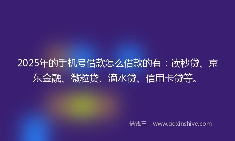 2025年的手机号借款怎么借款的有：读秒贷、京东金融、微粒贷、滴水贷、信用卡贷等。