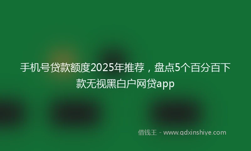 手机号贷款额度2025年推荐，盘点5个百分百下款无视黑白户网贷app