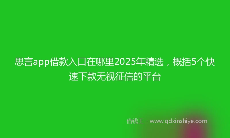 思言app借款入口在哪里2025年精选，概括5个快速下款无视征信的平台