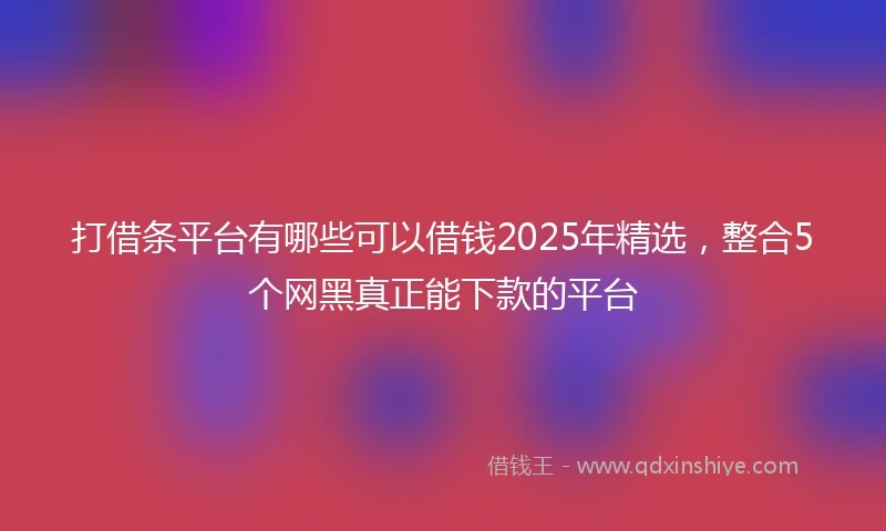 打借条平台有哪些可以借钱2025年精选，整合5个网黑真正能下款的平台
