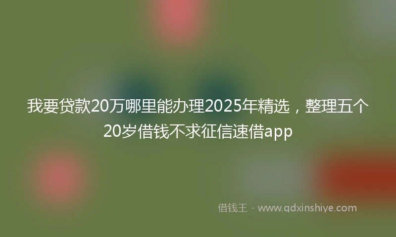 我要贷款20万哪里能办理2025年精选，整理五个20岁借钱不求征信速借app