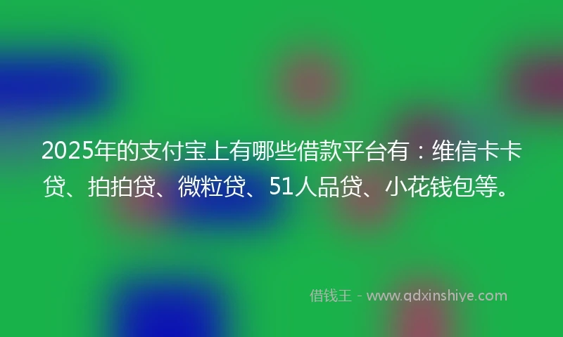 2025年的支付宝上有哪些借款平台有：维信卡卡贷、拍拍贷、微粒贷、51人品贷、小花钱包等。