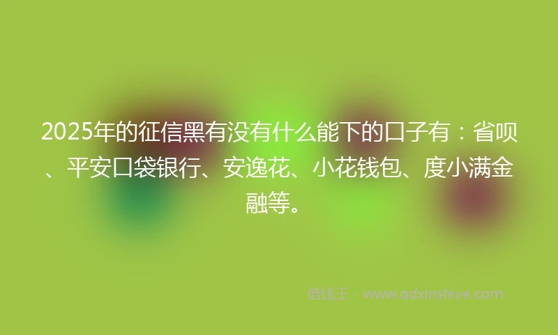 2025年的征信黑有没有什么能下的口子有：省呗、平安口袋银行、安逸花、小花钱包、度小满金融等。
