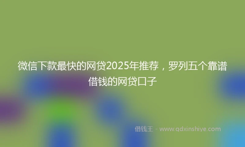 微信下款最快的网贷2025年推荐，罗列五个靠谱借钱的网贷口子