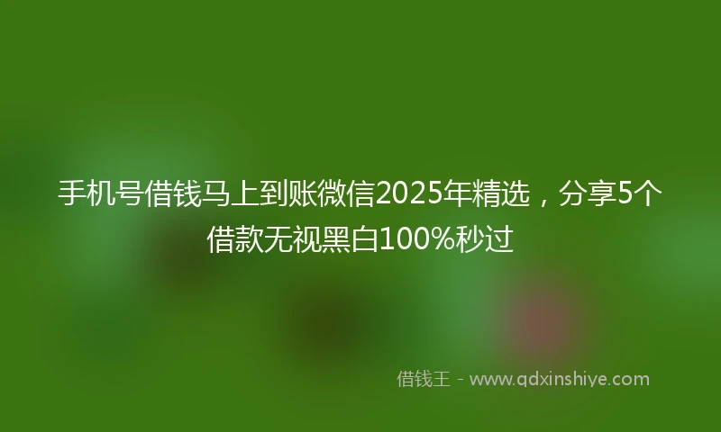 手机号借钱马上到账微信2025年精选，分享5个借款无视黑白100%秒过