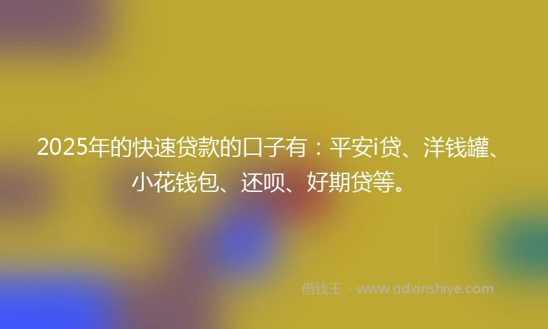 2025年的快速贷款的口子有：平安i贷、洋钱罐、小花钱包、还呗、好期贷等。