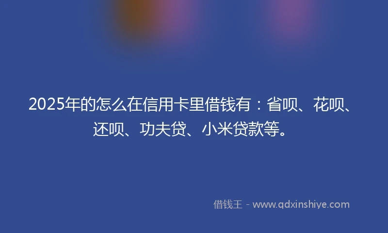 2025年的怎么在信用卡里借钱有：省呗、花呗、还呗、功夫贷、小米贷款等。