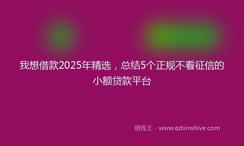 我想借款2025年精选，总结5个正规不看征信的小额贷款平台