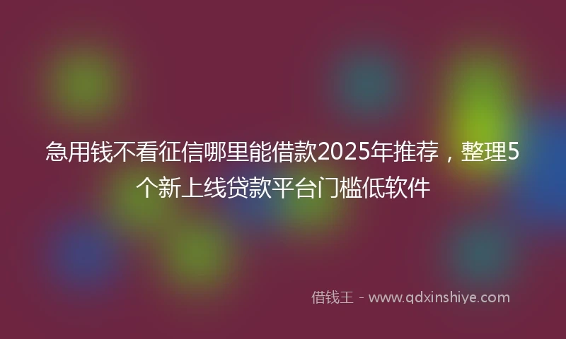 急用钱不看征信哪里能借款2025年推荐，整理5个新上线贷款平台门槛低软件