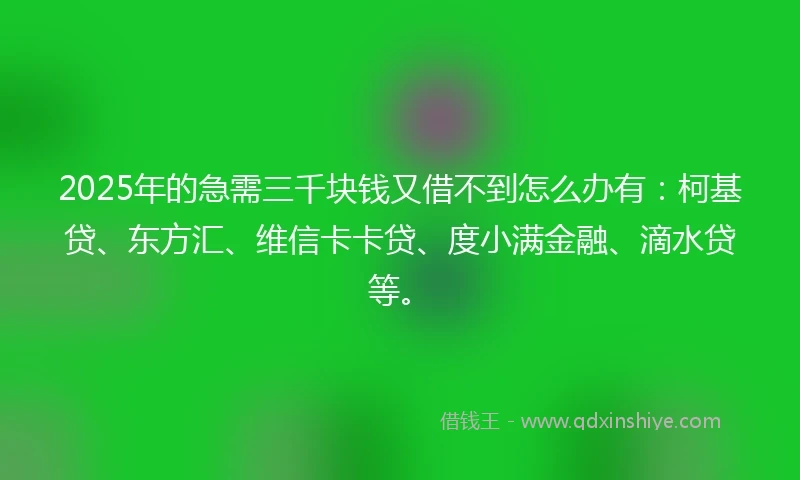 2025年的急需三千块钱又借不到怎么办有：柯基贷、东方汇、维信卡卡贷、度小满金融、滴水贷等。
