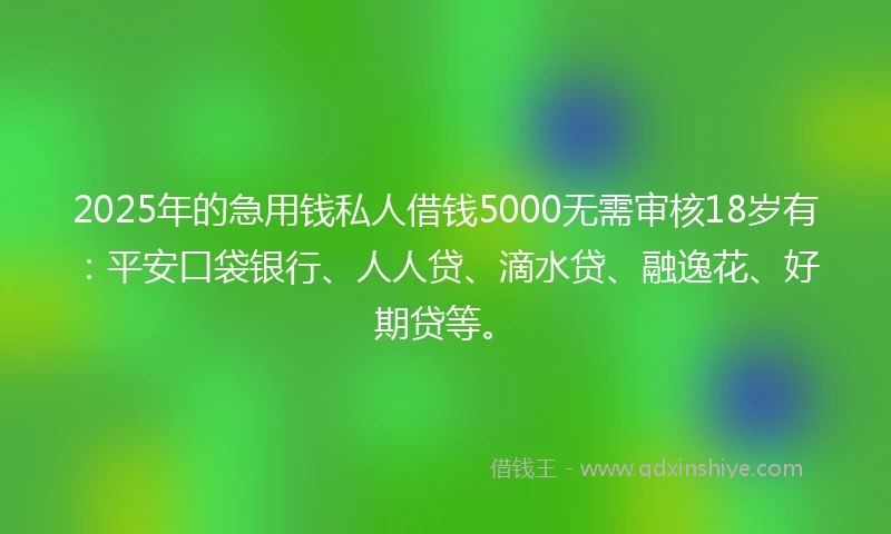 2025年的急用钱私人借钱5000无需审核18岁有：平安口袋银行、人人贷、滴水贷、融逸花、好期贷等。
