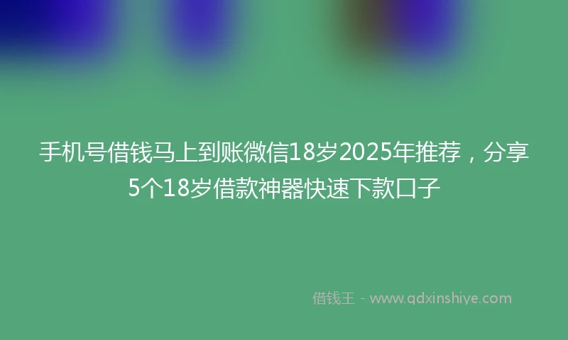 手机号借钱马上到账微信18岁2025年推荐，分享5个18岁借款神器快速下款口子