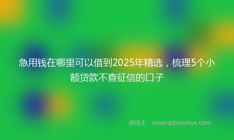 急用钱在哪里可以借到2025年精选，梳理5个小额贷款不查征信的口子