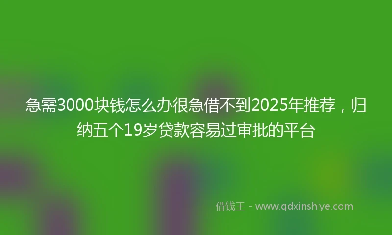 急需3000块钱怎么办很急借不到2025年推荐，归纳五个19岁贷款容易过审批的平台