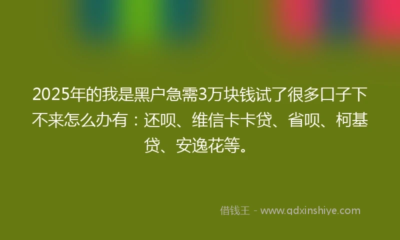 2025年的我是黑户急需3万块钱试了很多口子下不来怎么办有：还呗、维信卡卡贷、省呗、柯基贷、安逸花等。